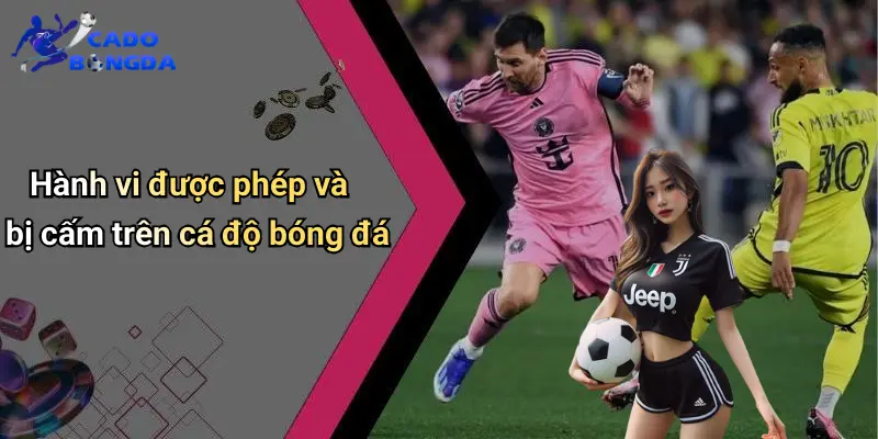 Điều Khoản Điều Kiện