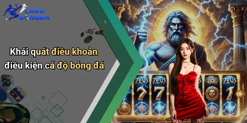 Điều Khoản Điều Kiện