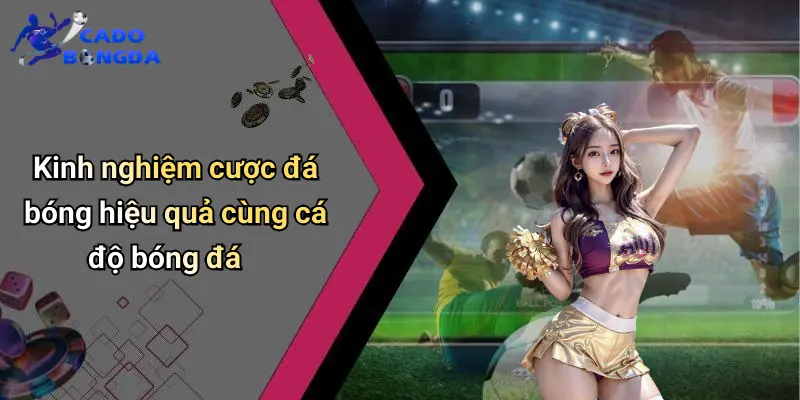 Cá độ bóng đá 72 Cá Độ Bóng Đá