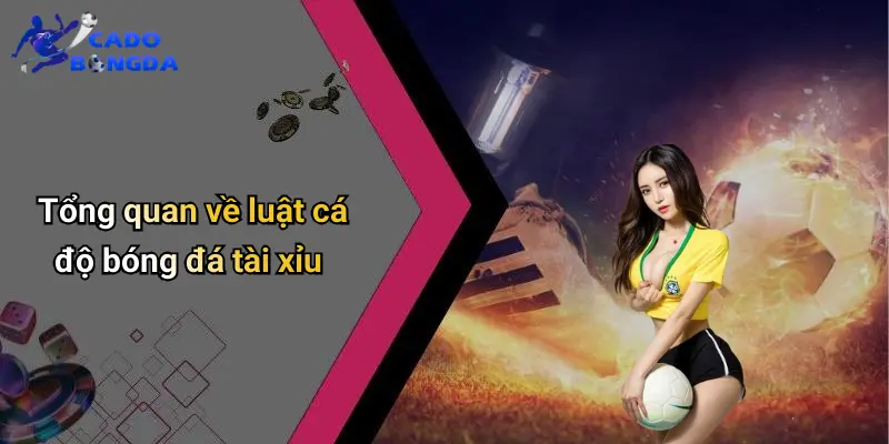 Luật Cá Độ Bóng Đá Tài Xỉu: Cẩm Nang Dành Cho Người Mới 1 Luật Cá Độ Bóng Đá Tài Xỉu