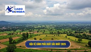 Hậu vệ cánh phải xuất sắc nhất 2025