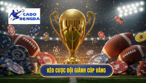 Kèo cược đội giành cúp vàng