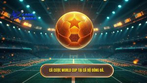 cá cược bóng đá World Cup