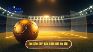soi kèo các trận đấu cúp liên đoàn Tây Ban Nha