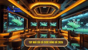 top nhà cái cá cược bóng đá uy tín 2026