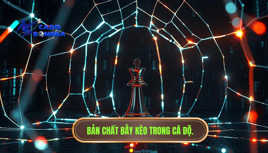 Hiểu về bản chất của "Bẫy Kèo" trong cá độ