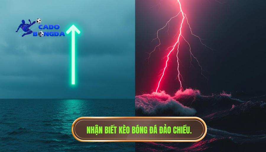 Thế nào là hiện tượng kèo hôm nay có thể đảo chiều?