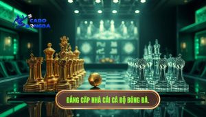 Chơi lâu chưa chắc sẽ thắng: Bí quyết cá cược từ chuyên gia